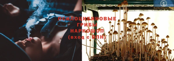 а пвп мука Богданович