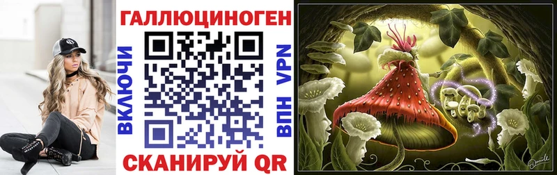 кракен ССЫЛКА Острогожск маркетплейс формула Галлюциногенные грибы Psilocybe