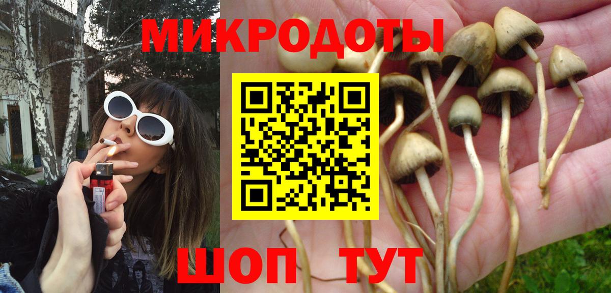 Острогожск  Псилоцибиновые грибы мицелий  Псилоцибиновые грибы Psilocybine cubensis  Вход с VPN 